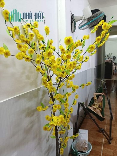 TRUNG TÂM  PHƯỜNG PHƯỚC LONG B. HẺM XE HƠI , 1T,1L 46M2 GIÁ CHỈ 3.5TỶ