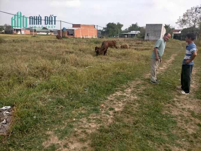 ưu đãi SỐC 5X20M, SHR công ty GIẢM BÁN tiện CÒN 950T