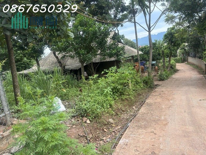 Chính chủ cần bán lô full thổ cư, giá đầu tư , Xã Đông Lai, Tân Lạc, Hòa Bình
