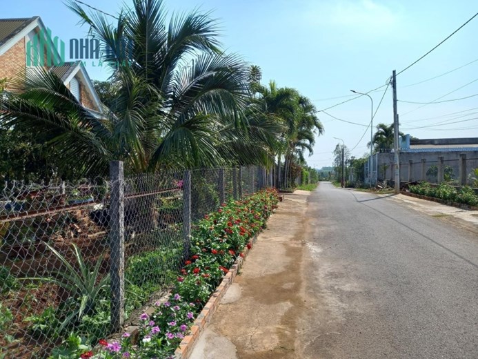 Bán đất đường số 33, Xã Nghĩa Thành, Huyện Châu Đức, tỉnh Bà Rịa Vũng Tàu.