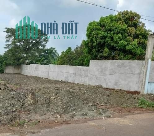 Bán đất đường số 33, Xã Nghĩa Thành, Huyện Châu Đức, tỉnh Bà Rịa Vũng Tàu.
