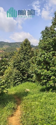 ĐẤT ĐẸP - GIÁ TỐT - Lô Đất Madagui  - Vị Trí Đắc Địa Tại Xã Hà Lâm, Đạ Huoai, Tỉnh Lâm Đồng