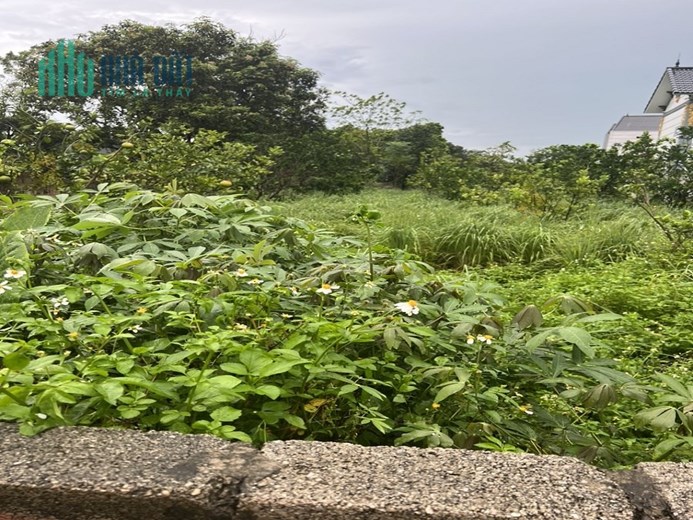 BÁN ĐẤT THÔN XUÂN CHUNG, CHƯƠNG MỸ - GIÁ ĐẦU TƯ F0
