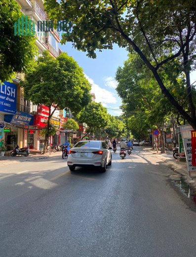 Phân Lô Tô Hiệu Hà Đông ô tô đỗ cửa. 36m2, mt 4.6m, giá chỉ 4 tỷ