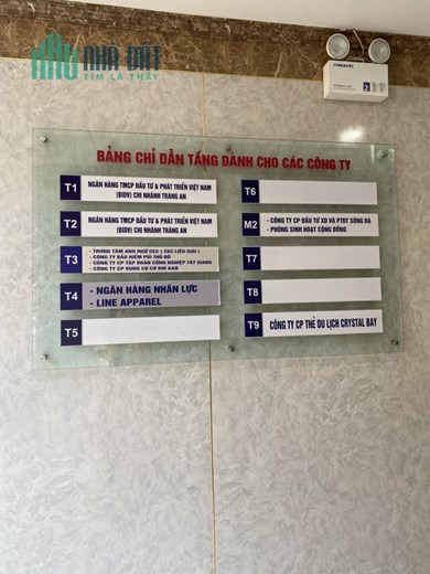 Cho thuê căn góc, diện tích 127 m2 nhìn xuống đường Liễu Giai, Ba Đình, HN