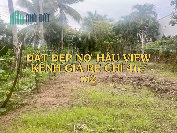 Chính chủ bán đất trồng cây lâu năm tại Gò Công Tây, Tiền Giang