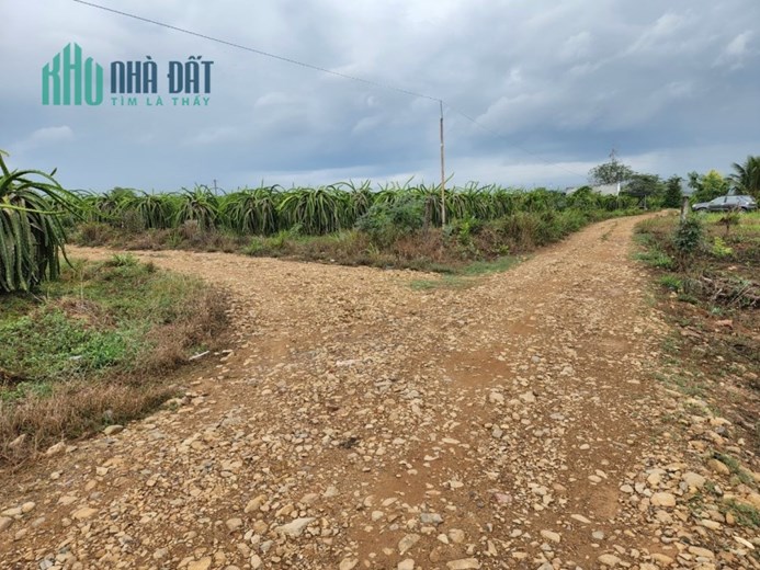 Bán 9180m2 đất xã Hàm Thạnh Bình Thuận. SHR 170tr/1000m2. Lh:0903897768.