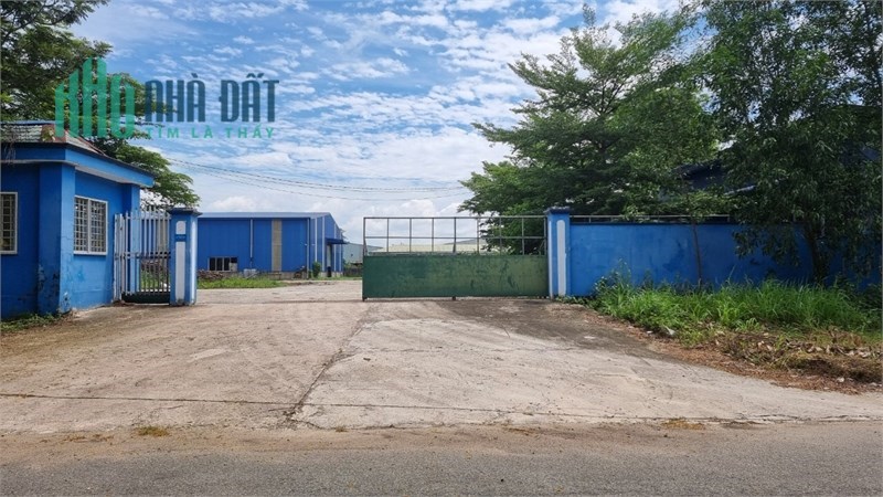 KCN Định Quán, cho thuê nhà xưởng sản xuất sẵn có 9 lò sấy, phù hợp ngành Gỗ