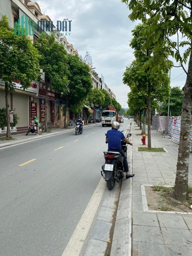 💥Bán gấp Mặt phố Nguyễn Khang Cầu Giấy 63m*6T, Kinh doanh vô đối, 24.9 tỷ💥