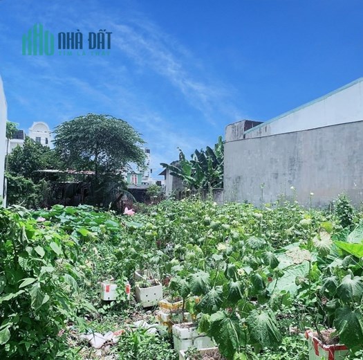 Bán Đất HXH TX24 Thổ Cư  Thạnh Xuân Q12 104M2 nhỉnh 3Tỷ8