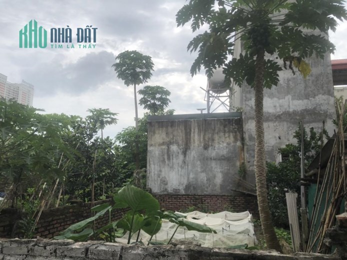 Chính chủ cần bán gấp 53,6m Thôn Đông Trù,Xã Đông Hội,Đông Anh đường ô tô 7c giá công khai 53,6tr/m