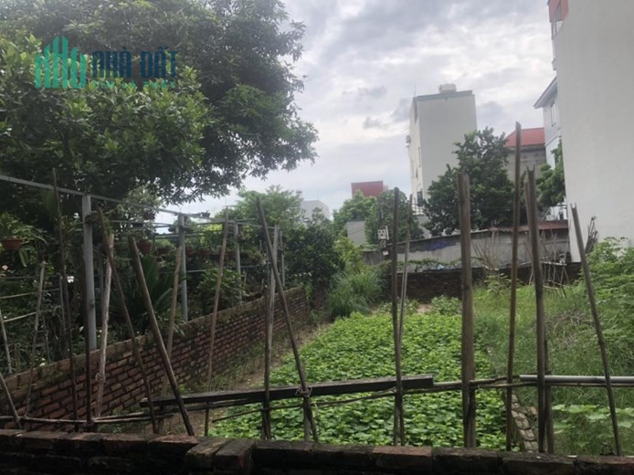 Chính chủ cần bán gấp 66,5m Thôn Đông Trù,Xã Đông Hội,Đông Anh đường ô tô 7c giá công khai 53tr/m