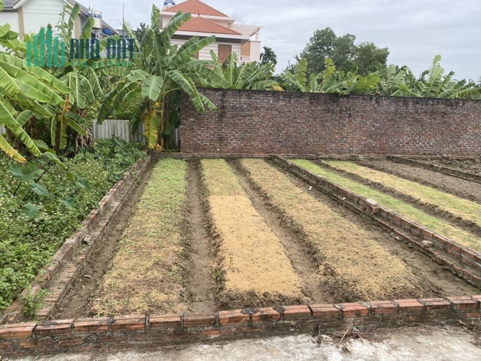 Chỉ với 1 tỉ có ngay 43.9m tại Đình Trung - Xuân Nộn - Đông Anh đường ô tô vào đất