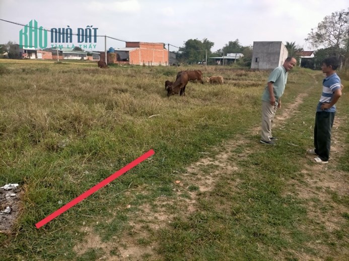 ưu đãi SỐC 5X20M, SHR nhà GIẢM BÁN tiện CÒN 950T