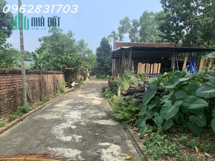chủ cần tiền cắt lỗ lô đất chợ Tiến xuân đẹp nhất khu vực giá đầu tư
