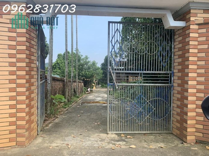 chủ cần tiền cắt lỗ lô đất chợ Tiến xuân đẹp nhất khu vực giá đầu tư