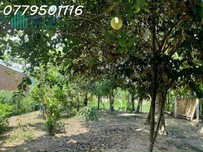 Bán nhà vườn Diên Hoà, Diên Khánh giá đầu tư