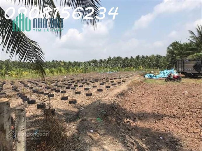 Cần bán toàn bộ thửa đất 27,3 công ngay mặt tiền QL54,cách vị trí cầu Đại Ngãi khoảng 800m
