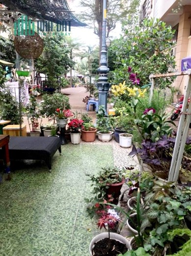 SHOP HOUSE, 2 TẦNG, P TÂN THUẬN ĐÔNG Q7, CĂN GÓC, 3.3T, TL MẠNH.