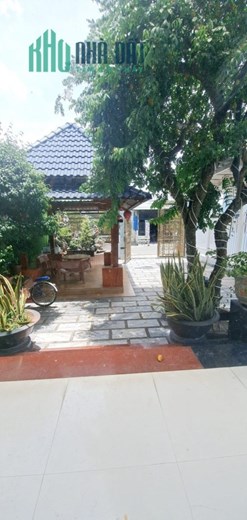 Biệt thự 10x53m, XTS Hocmon, 530m, mt nhựa nhỉnh 10 tỷ