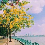 VIP ! nhà mặt phố nghi tàm tây hồ ô tô kinh doanh nhỉnh 25 tỷ 147m 6T.
