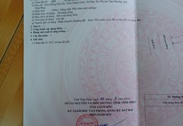 Bán lô D37 Cầu Đỏ, Đạo Tú, Tam Dương. DT 100m2