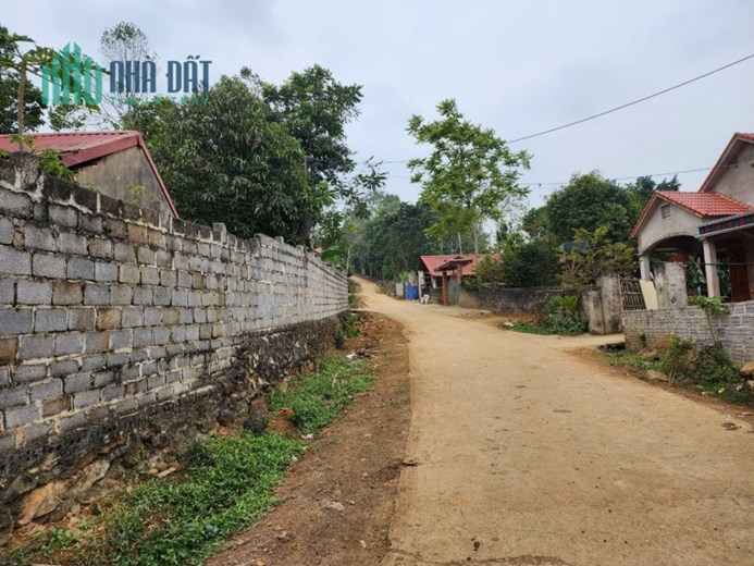 Bán gấp 1486m2 đất xã Cẩm Yên, huyện Cẩm Thủy. Miễn TG