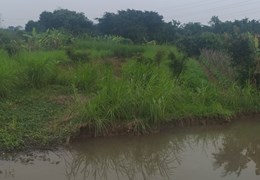 Bán 1.2ha đất nhà xưởng tại Cao An, Cẩm Giàng, Hải Dương