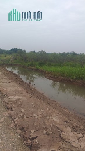 Bán 1.2ha đất nhà xưởng tại Cao An, Cẩm Giàng, Hải Dương