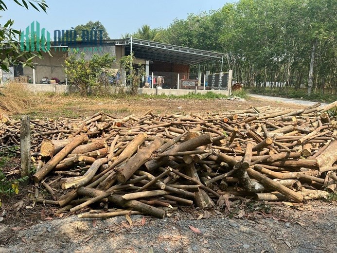 ĐẤT ĐẸP - GIÁ TỐT - CẦN BÁN NHANH LÔ ĐẤT tại Huyện Gò Dầu, Tỉnh Tây Ninh