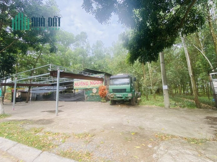 Bán 6850m2 đất thương mại dịch vụ Trung Nguyên, Yên Lạc gần cổng chào Yên Lạc