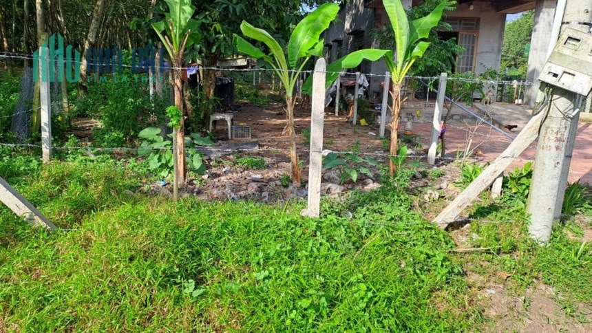 Chỉ 680 Triệu có ngay lô đất đep tại Tây Ninh ngay thị trấn bến Cầu