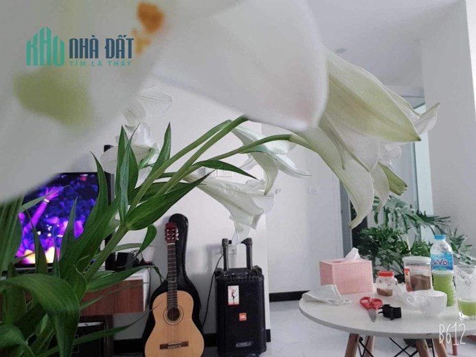 Em cần bán căn hộ cc HH linh đàm 66 mét 2 ngủ giá 1tỷ 480tr