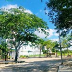 Đất nền Đào Sư Tích, 120m, giá 38.5 triệu, sổ hồng riêng