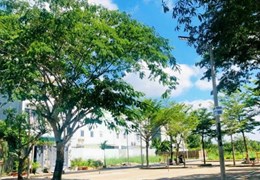 Đất nền Đào Sư Tích, 120m, giá 38.5 triệu, sổ hồng riêng