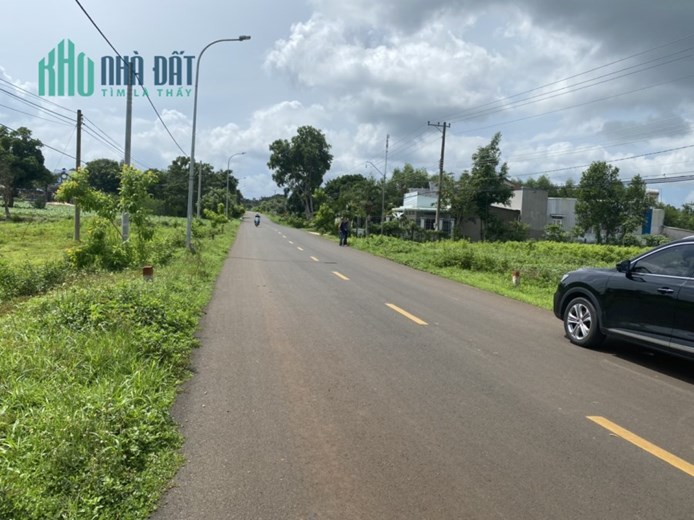 Cắt lỗ sâu lô góc 2 mt đường Mỹ Xuân - Ngãi Giao cũ, 984m² - 19x50m ngay cổng chào Châu Đức - BRVT