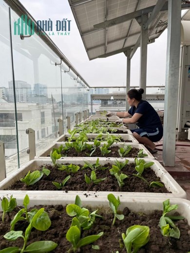 Bán biệt thự nghỉ dưỡng lô góc đẳng cấp quận Thanh Xuân, 147m2, 37 tỷ