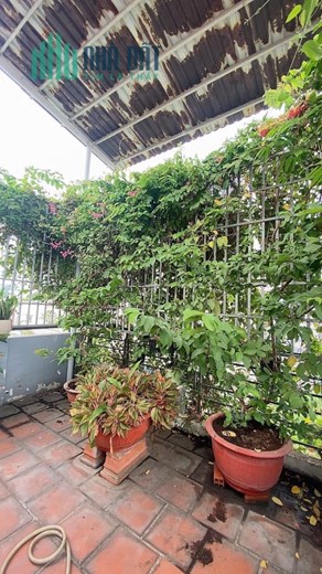 GấpBán, nhà MT Đườngsố6 P15 Gòvấp 55m trệt 2lầu BTCT 3PN 3WC ST 5tỷ6TL