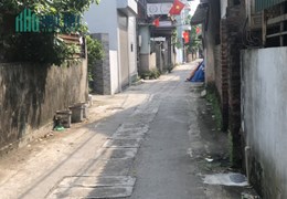 Chính chủ nhờ bán gấp 47,1m Thôn Chợ Sa,xã Cổ Loa,Đông Anh,Hà Nội đường xe morning giá chỉ nhỉnh tỷ