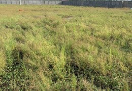 Chúng tôi bán 3,5ha đất SKC ở Đức Hòa, Long  An