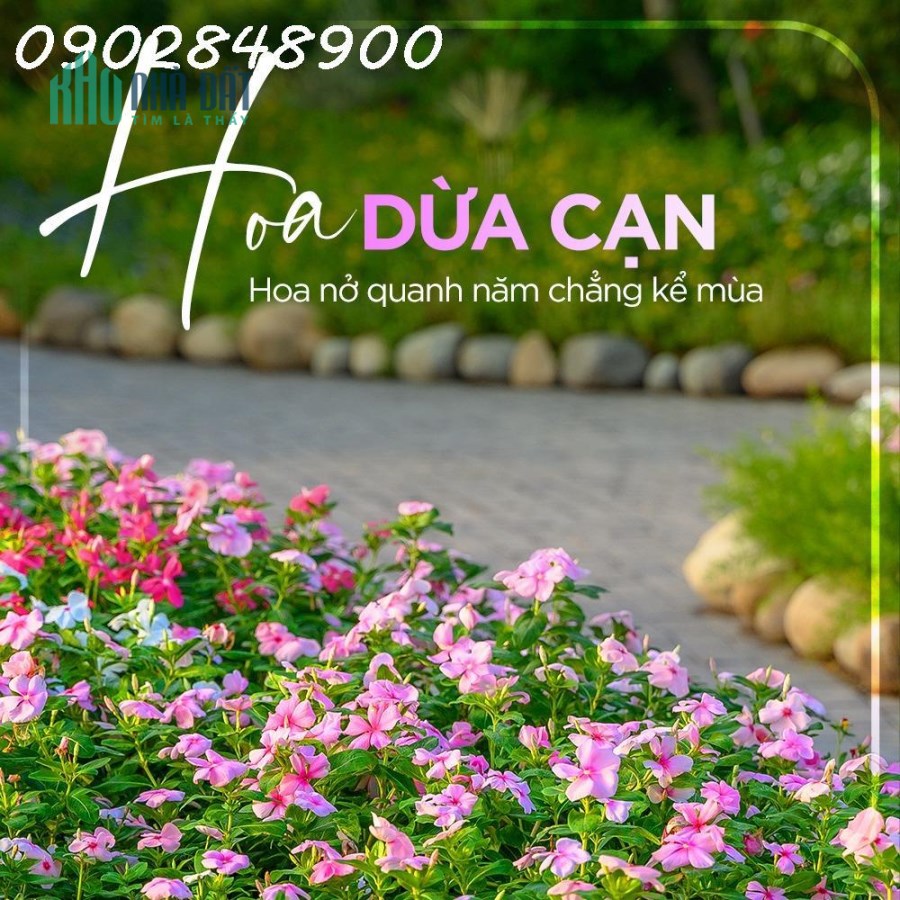 Ecopark Nhơn Trạch mở bán giai đoạn đầu tiên, biệt thự view sông, 68 căn đầu tiên ưu đãi tốt nhất