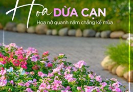 Ecopark Nhơn Trạch mở bán giai đoạn đầu tiên, biệt thự view sông, 68 căn đầu tiên ưu đãi tốt nhất