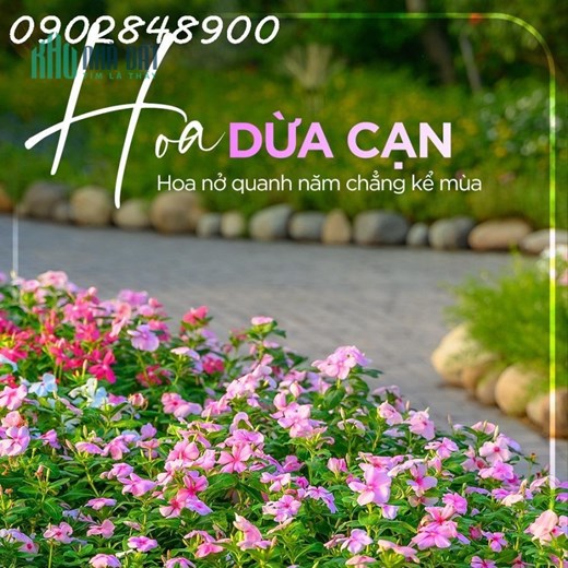 Ecopark Nhơn Trạch mở bán giai đoạn đầu tiên, biệt thự view sông, 68 căn đầu tiên ưu đãi tốt nhất