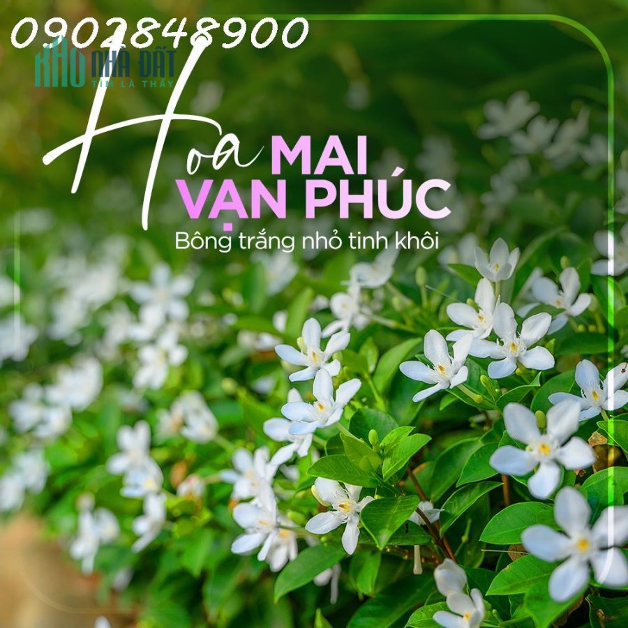 Ecopark Nhơn Trạch mở bán giai đoạn đầu tiên, biệt thự view sông, 68 căn đầu tiên ưu đãi tốt nhất