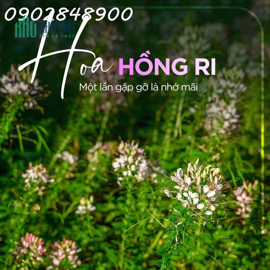 Ecopark Nhơn Trạch mở bán giai đoạn đầu tiên, biệt thự view sông, 68 căn đầu tiên ưu đãi tốt nhất