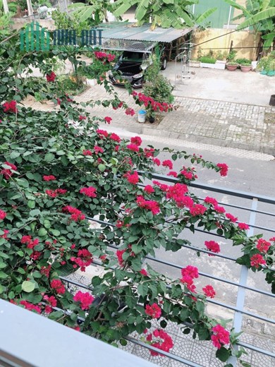 Nhà mặt tiền Quận Cẩm Lệ + View xem Pháo Hoa sông Hàn +Gara Ô Tô riêng. Lh:0917540999