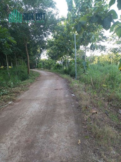 Chính Chủ Cần Bán Lô Đất Nền Trục Đường Chính Thanh Hương – Bình Phước – Giá Rẻ.