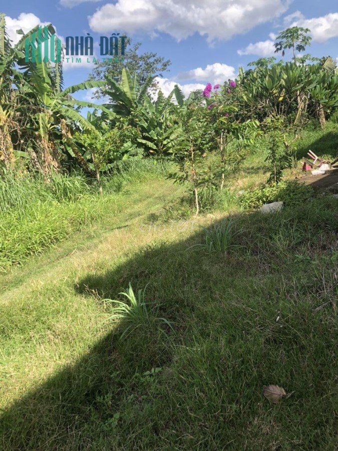 CHÍNH CHỦ CẦN BÁN LÔ ĐẤT VỊ TRÍ ĐẸP TẠI Ấp Tân Hai, Xã Lộc Phú, Huyện Lộc Ninh, Bình Phước