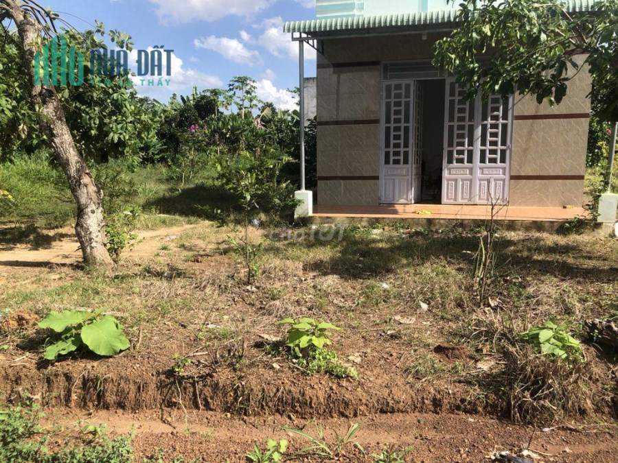 CHÍNH CHỦ CẦN BÁN LÔ ĐẤT VỊ TRÍ ĐẸP TẠI Ấp Tân Hai, Xã Lộc Phú, Huyện Lộc Ninh, Bình Phước