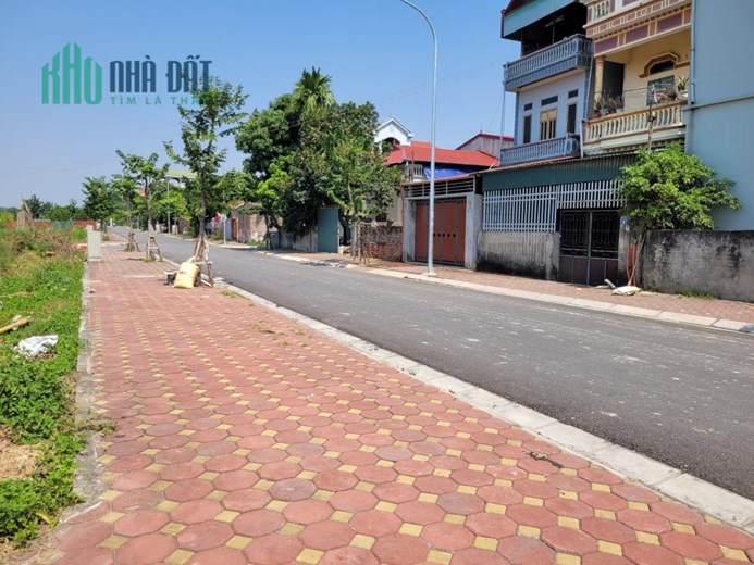 ✅ Bán đất đấu giá X9 Cán Khê, Nguyên Khê - 125m - Mặt đường QH 40m